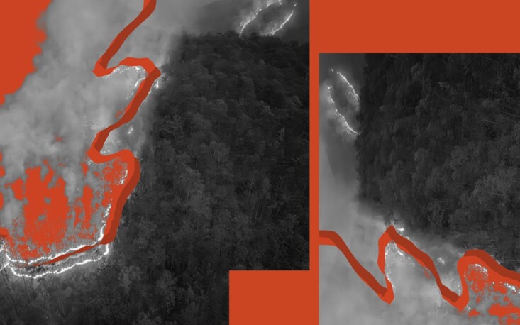 Cicatrizes invisíveis: impactos de queimadas florestais podem durar décadas, com perda de biodiversidade e piora da qualidade da água
